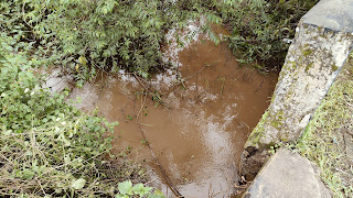 ब्रेकिंग जशपुर: नाबालिग पहाड़ी कोरवा युवती की संदिग्ध मौत का मामला,पुलिस ने इन धाराओं के तहत दर्ज किया FIR