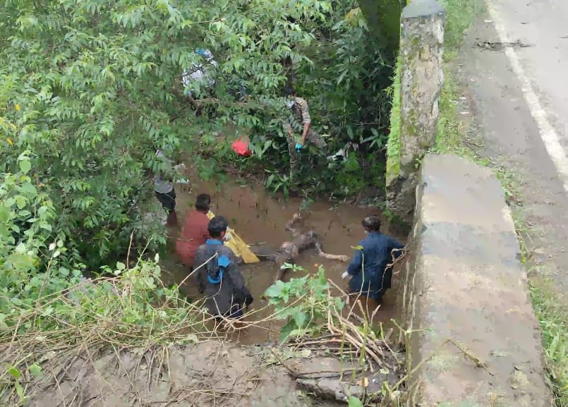 स्टेट हाईवे में पुलिया के नीचे मिली पहाड़ी कोरवा युवती की सड़ी-गली लाश,हत्या या हादसा। .?