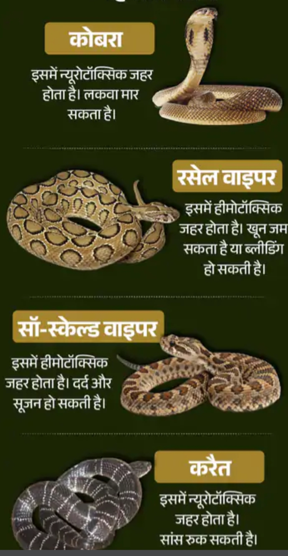 खतरनाक सांप, बचाव और उपचार के उपाय