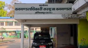 अंबिकापुर संजय पार्क में 15 हिरणों की मौत पर साय सरकार सख्त,5 निलंबित,जांच टीम गठित।